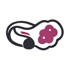 Παθήσεις Ωοθηκών