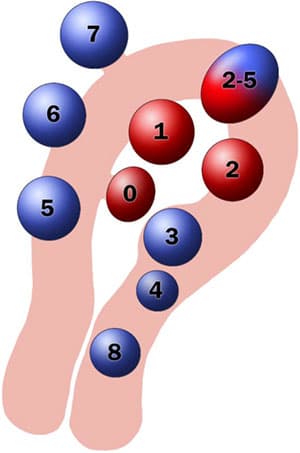 Ινομυώματα Μήτρας
